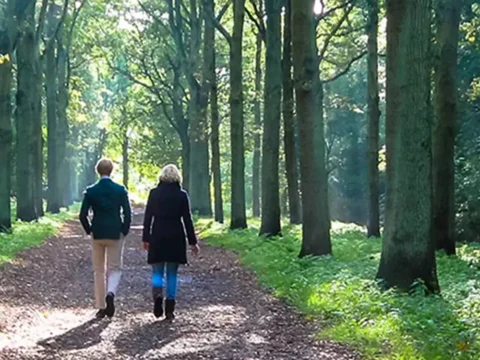 plaatje van AB Het Spectrum