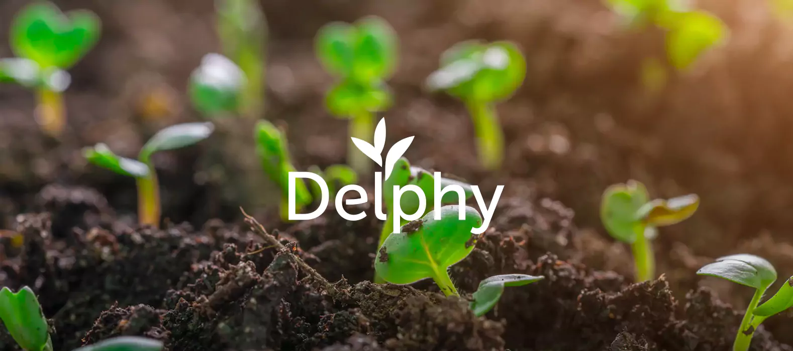 Een fraai plaatje bij Delphy makes growers better