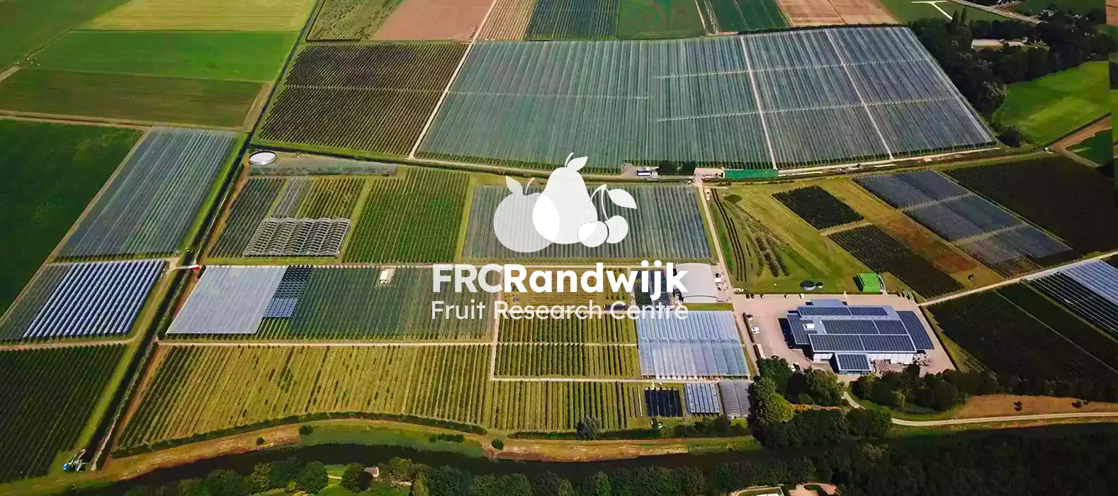 Een fraai plaatje bij FRC Randwijk