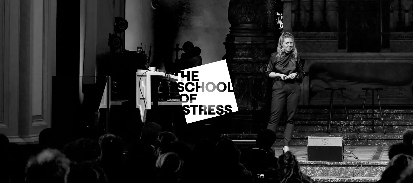 Een fraai plaatje bij The School of Stress